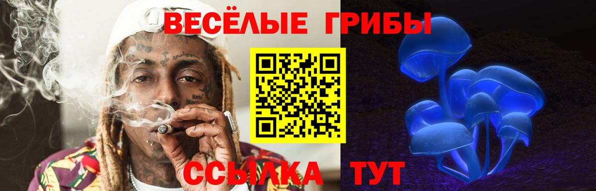 Псилоцибиновые грибы мицелий  Вход с VPN  где можно купить   Кировск 